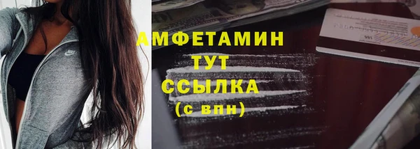 индика Балабаново