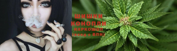 индика Балабаново