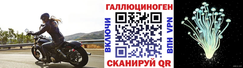 закладка  Спасск-Рязанский  Галлюциногенные грибы Psilocybe 